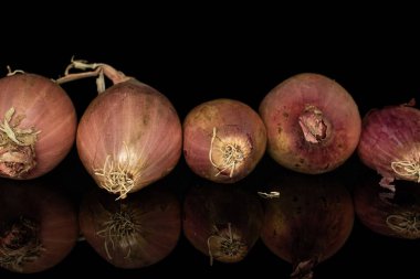 Siyah camda izole edilmiş taze kahverengi arpacık soğanı.