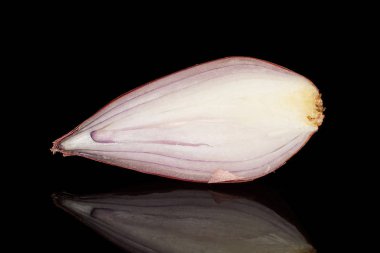 Siyah camda izole edilmiş taze kahverengi arpacık soğanı.