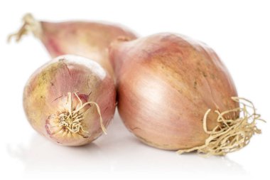 Taze kahverengi arpacık soğanı beyazda izole edilmiş.