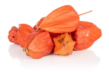 Taze turuncu physalis beyaz izole