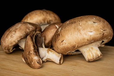 Siyah camda izole edilmiş taze kahverengi mantar.