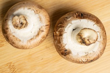 Hafif tahtada taze kahverengi mantar.