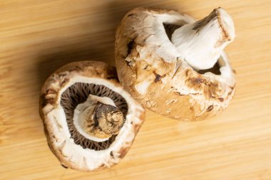 Hafif tahtada taze kahverengi mantar.