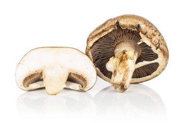 Beyaz üzerinde taze kahverengi mantar.