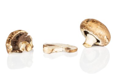 Beyaz üzerinde taze kahverengi mantar.