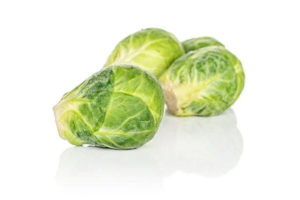 Vers Brussel sprout geïsoleerd op wit — Stockfoto