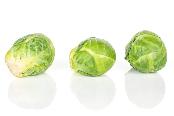 Vers Brussel sprout geïsoleerd op wit — Stockfoto