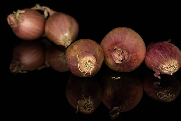 Chalota castanha fresca isolada em vidro preto — Fotografia de Stock