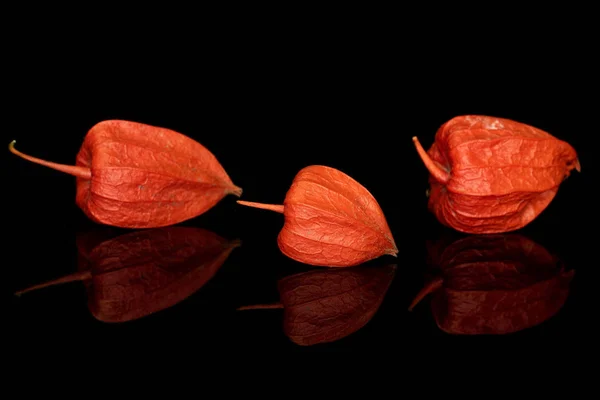 Physalis laranja fresco isolado em vidro preto — Fotografia de Stock