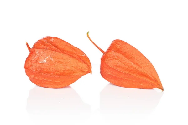 Physalis laranja fresco isolado em branco — Fotografia de Stock