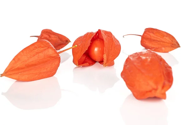Physalis orange frais isolé sur blanc — Photo