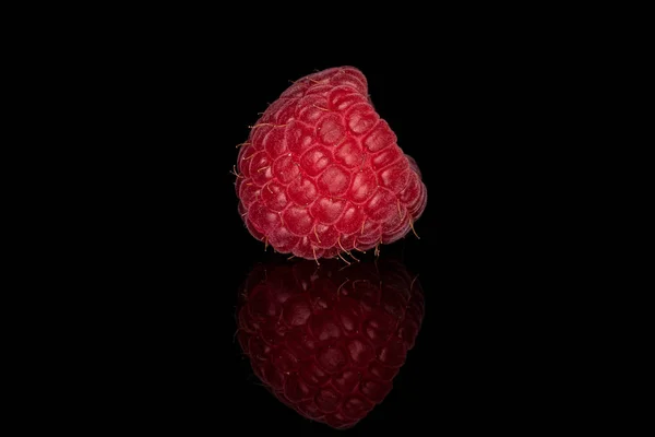 Frische rote Himbeere isoliert auf schwarzem Glas — Stockfoto