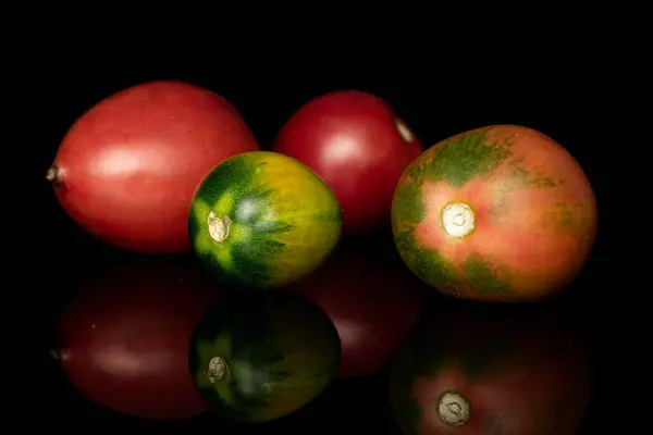 Pomodoro fresco de barao isolato su vetro nero — Foto Stock