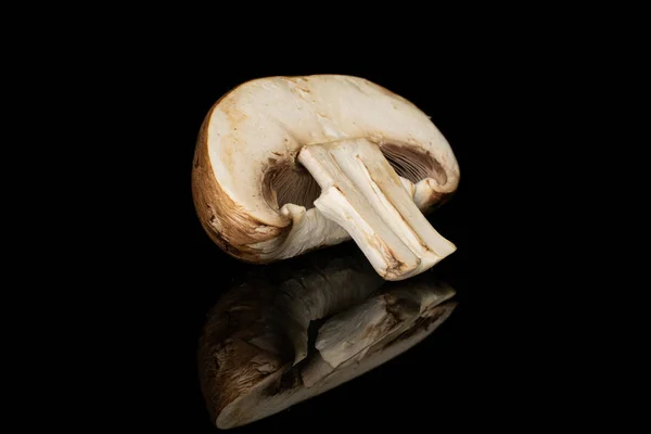 Cogumelo castanho fresco isolado em vidro preto — Fotografia de Stock