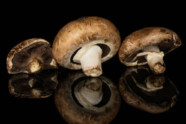 Fresh brown mushroom isolated on black glass — Stock Photo, Image