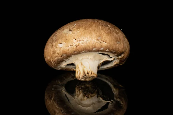 Свіжий коричневий гриб ізольований на чорному склі — стокове фото