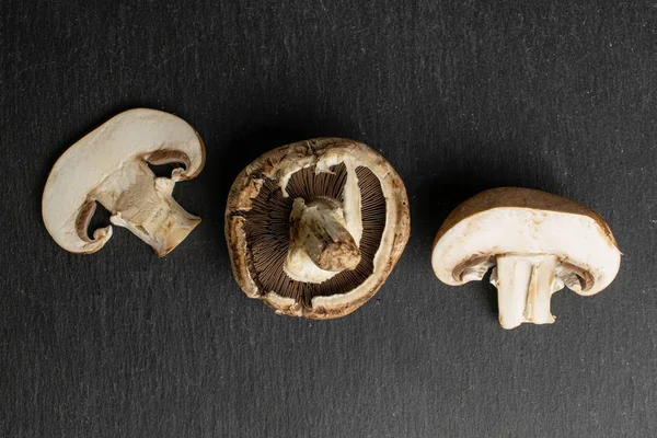 Fresh brown mushroom on grey stone — Stock Photo, Image