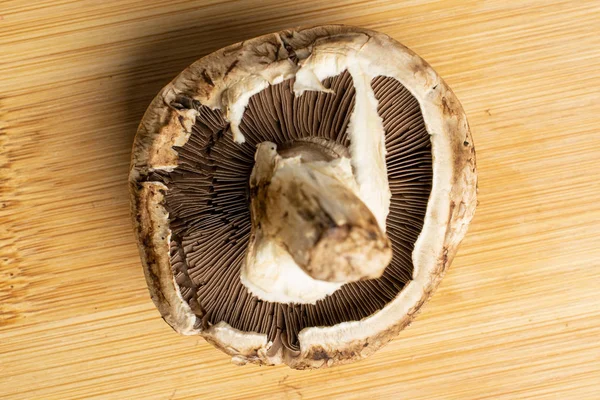 Fresh brown mushroom on light wood