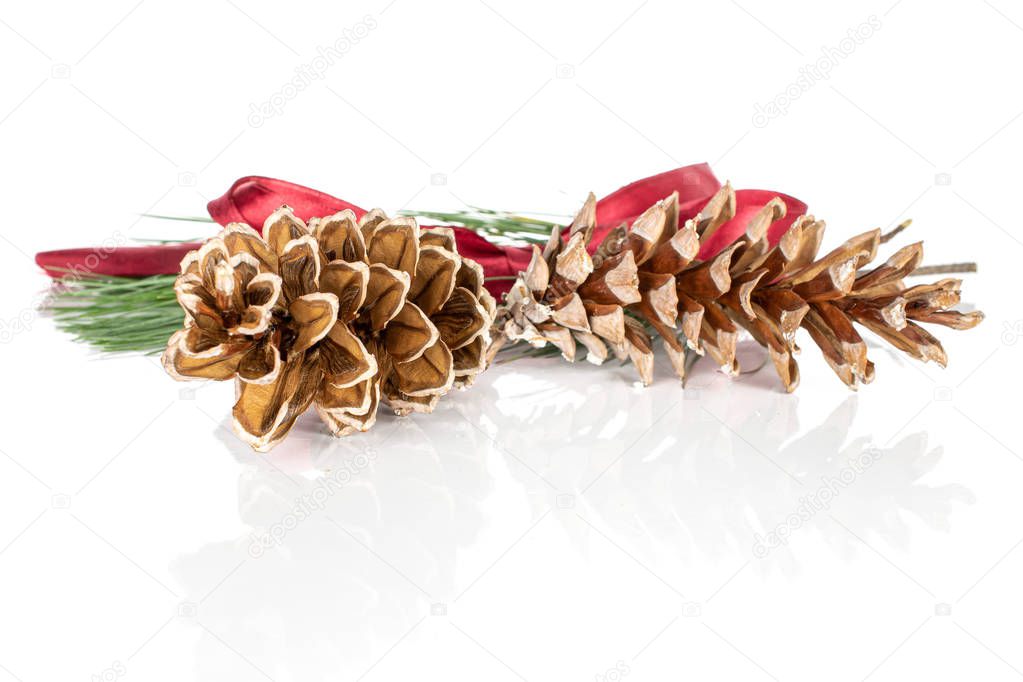 Brown forest pine cone isolated on white