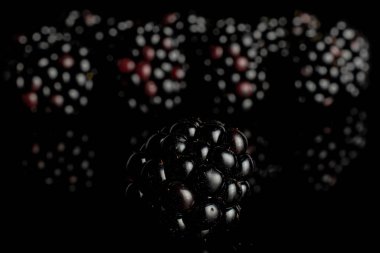 Siyah camda izole edilmiş taze siyah böğürtlen