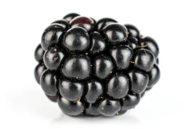 Taze siyah böğürtlen beyazda izole