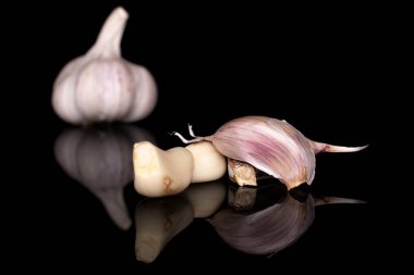 Beyaz aromalı sarımsak siyah camda izole edilmiş.