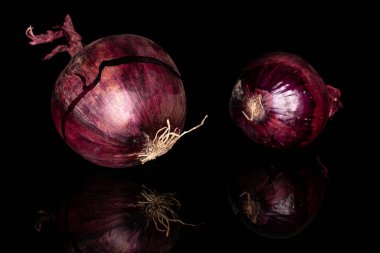 Siyah camdan izole edilmiş taze kırmızı soğan.