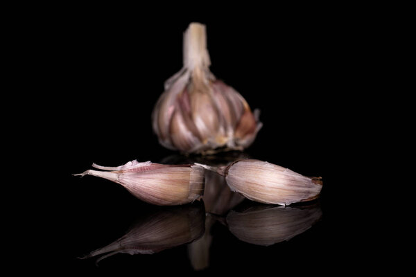 White aromatic garlic isolated on black glass