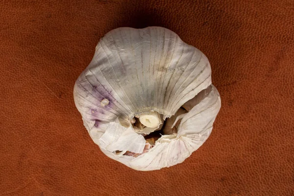 Λευκό αρωματικό σκόρδο σε δέρμα κονιάκ — Φωτογραφία Αρχείου