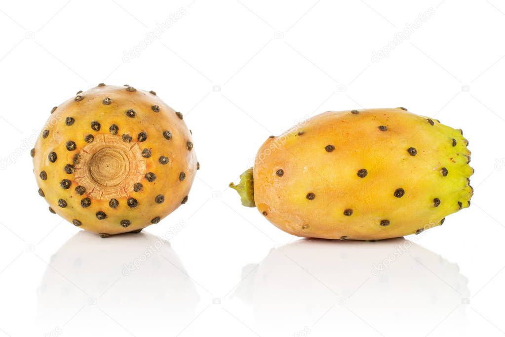 Fresh orange opuntia isolated on white