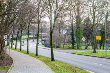 yeşillik ormandaki küçük yol boyunca olmadan farklı ağaçlar ayakta