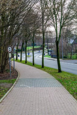 yeşillik ormandaki küçük yol boyunca olmadan farklı ağaçlar ayakta