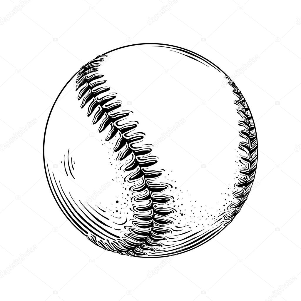 Hand drawn sketch of baseball ball in black isolated on white background. Detailed vintage style drawing. Vector illustration.