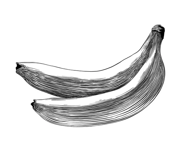 Croquis dessiné à la main de banane en noir isolé sur fond blanc. Dessin détaillé de style vintage. Illustration vectorielle — Image vectorielle