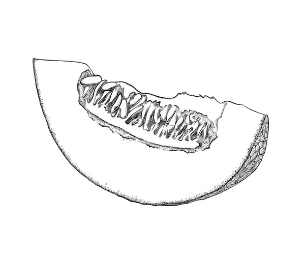 Melon Honeydew. Seluruh buah manis matang segar dengan irisan potongan juicy dipotong. Buah realistik melon, diisolasi dengan latar belakang putih. Ilustrasi vektor EPS10 - Stok Vektor