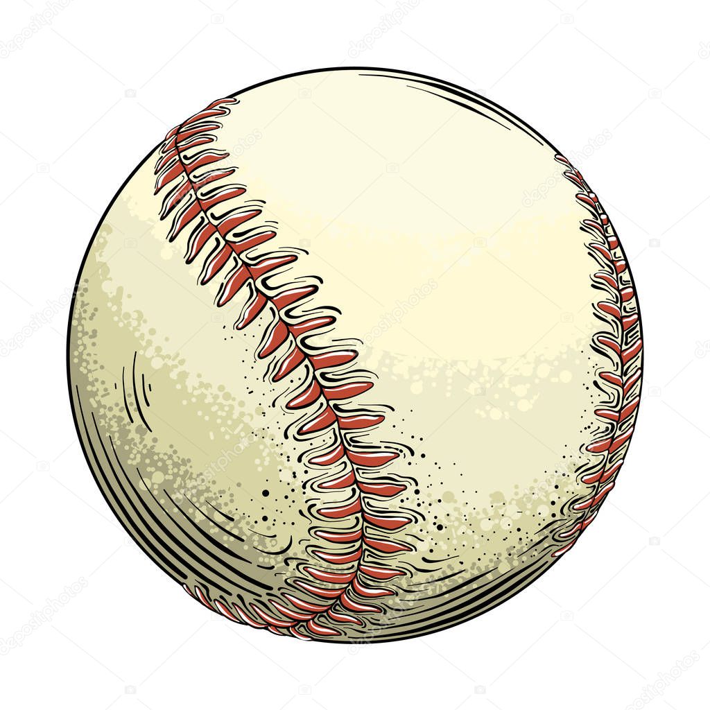Hand drawn sketch baseball ball in color, isolated on white background. Detailed drawing in the style of vintage. Vector illustration.