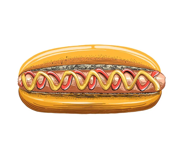 Dibujo dibujado a mano de Hot Dog en color aislado sobre fondo blanco. Dibujo detallado estilo vintage. Ilustración vectorial — Archivo Imágenes Vectoriales