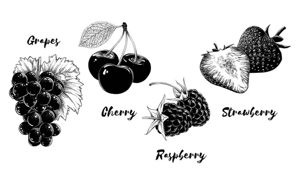 Obst- und Beerensatz, isoliert auf weißem Hintergrund. handgezeichnete Elemente wie Trauben, Kirschen, Erdbeeren und Himbeeren. Vektorillustration — Stockvektor