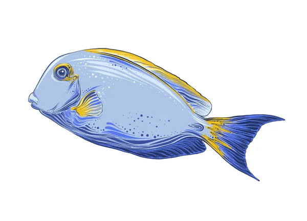 Croquis Dessiné De Main De Poissons De Couleur Noire Isolé