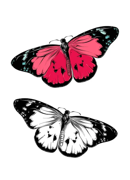 Dibujo dibujado a mano de mariposa en color. Aislado sobre fondo blanco. Dibujo para carteles, decoración e impresión. Ilustración vectorial — Archivo Imágenes Vectoriales