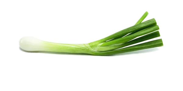 Cebolla verde aislada en el fondo blanco — Foto de Stock