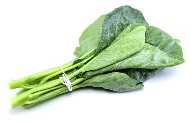 Tay tarzı kale-beyaz arka planda izole yeşil kale. 