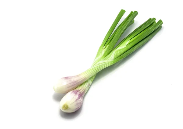 Cebolla verde aislada en el fondo blanco — Foto de Stock