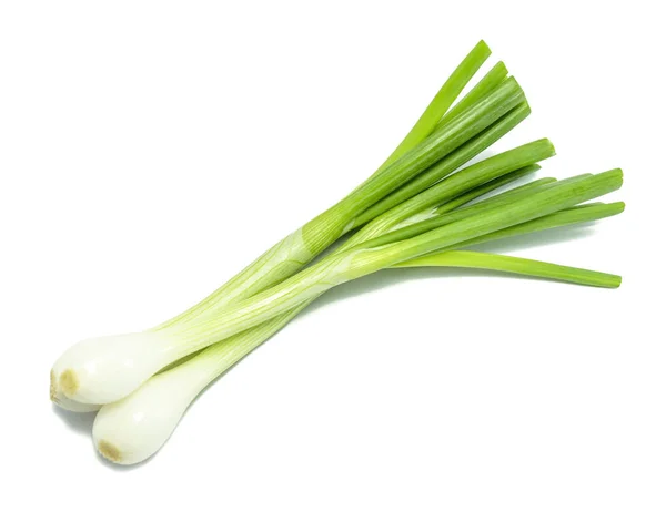 Green onion isolated on a white background — Stock Photo, Image