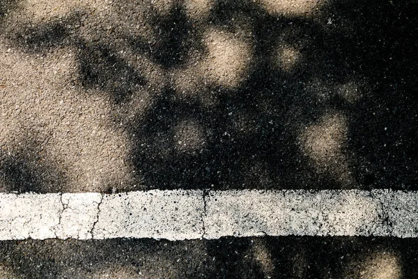 Folhas de sombra no estacionamento do chão vazias, marcadas com linhas brancas . — Fotografia de Stock