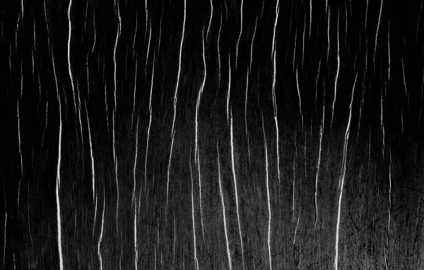 Black wood texture background. May be used for design as background or other. Copy space — Stock Photo, Image