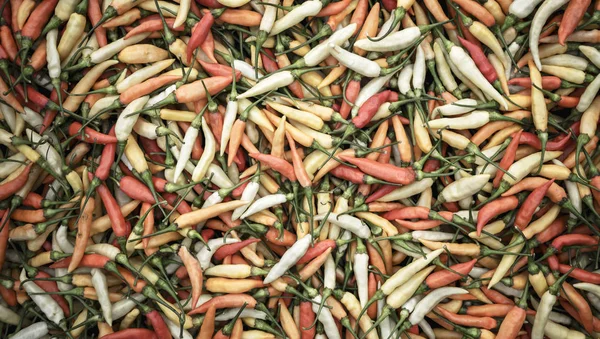 Fundo de pimenta Ingrediente de ervas orgânicas frescas para venda no mercado — Fotografia de Stock