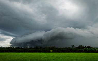 Siyah bulut Rainstorm yeşil pirinç tarlaları üzerinde şekillendirildi.