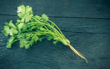 Seçici odak/taze yeşil kişniş ahşap masa dokusu arka planda yaprakları. Boş kopya alanı ve metne ekleme.