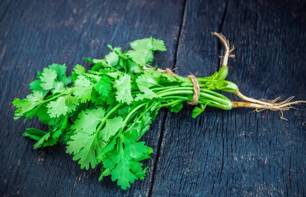 Selective focus / Fresh green coriander leaves on wooden table texture background. With blank copy space and add to text.